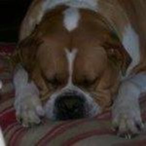 Meet your Posher, Devin